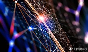 为什么数字化让企业变成行业的大秦帝国